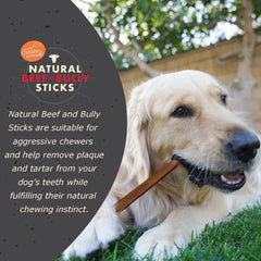Canine Naturals Hueso de res grande duradero para perros activos.