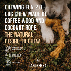 Canophera masticable para perros: juego dental natural y estimulación prolongada
