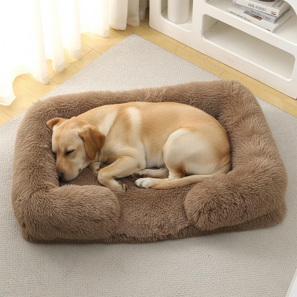 CareCooo cama ortopédica XXL: soporte para articulaciones y descanso profundo.