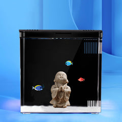 Carefree Fish, vista frontal del tanque, ideal para observar peces pequeños.