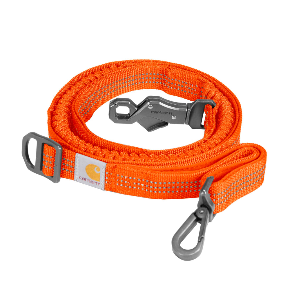 Correa Carhartt duradera de nylon para perros, ideal para caminatas largas.
