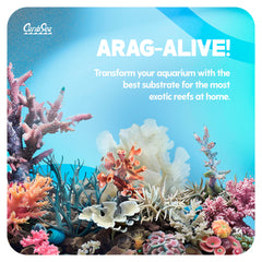 CaribSea Arag-Alive Bimini Pink Sand, grano fino, ideal para crecimiento de corales y filtración biológica.
