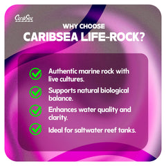 CaribSea LifeRock Dreamscapes: arquitectura de roca para acuarios