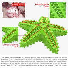 Carllg estrella de mar juego interactivo: estímulo dental y entretenimiento seguro.