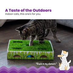 Catstages Grass Patch Hunting Box bolas con campana para estimulación mental