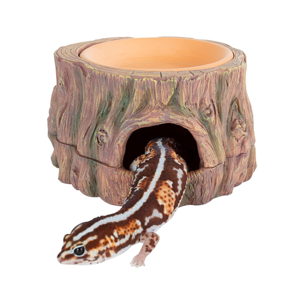 CAVACHEW cueva-oculta-3en1, refugio seguro para reptiles.