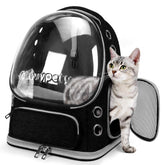 La mochila Cawypety para gatos con ventana burbuja frontal, ideal para paseos.