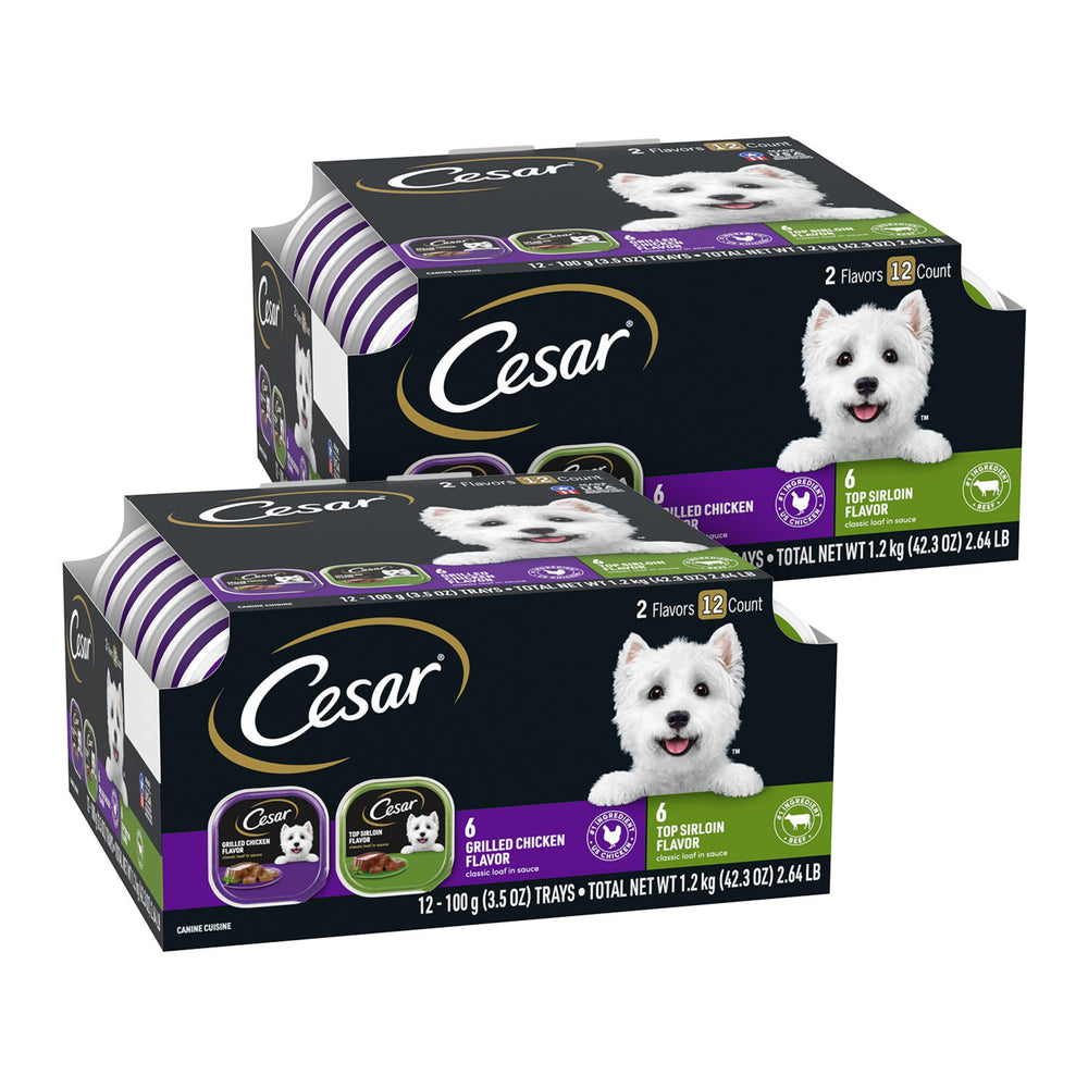 Cesar comida húmeda de pollo a la parrilla en salsa, lista para servir en casa.