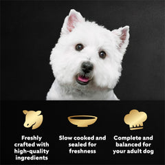 Cesar Filetes Angus para perro, envase mini servido, listo para la comida