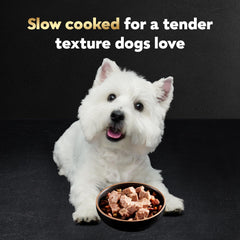 Cesar Perro adulto disfruta de alimento húmedo con textura jugosa y sabrosa.
