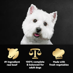 Cesar Wholesome Bowls pollo: proteína principal y sabor auténtico para perros adultos