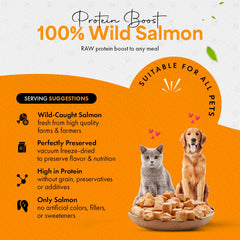Chef Kitty ingrediente único de salmón, opción simple y natural.