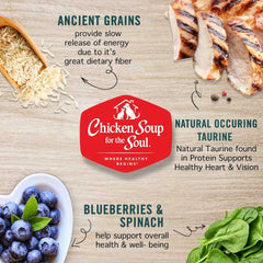 Chicken Soup for the Soul para gatos de interior: antioxidantes y superalimentos para la inmunidad.