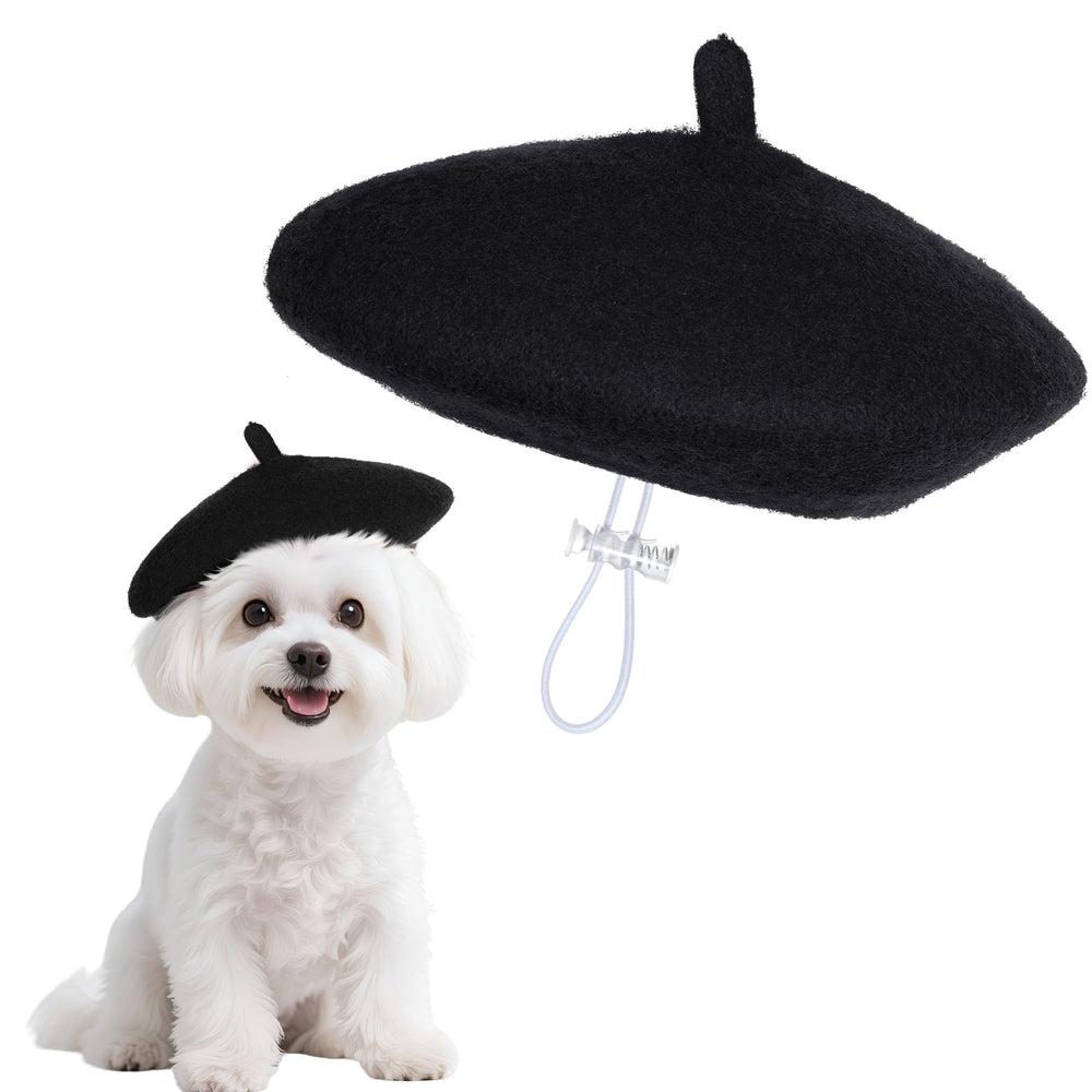Boina choyaxo para perro con estilo artístico, ideal para salidas y fotos.