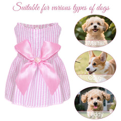 Detalle de lazo en el vestido de perro Choyaxo, perfecto para fotos.