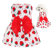 Vestido floral de choyaxo para perro, vista frontal, ideal para paseos