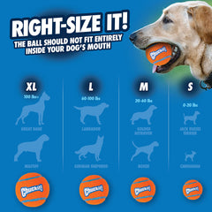 Chuckit! pelota de tenis con fieltro suave no abrasivo