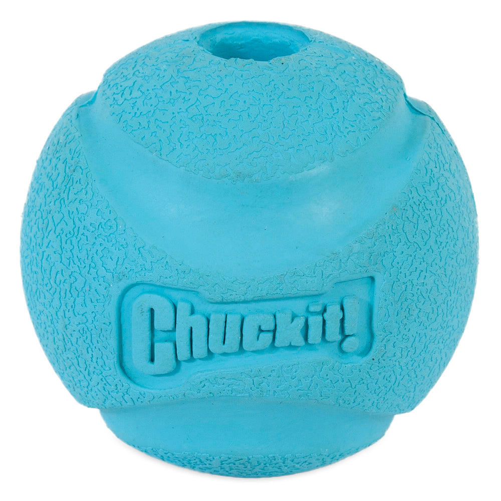 Pelota Chuckit! de alto rebote para perros medianos en acción al aire libre