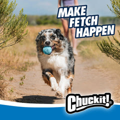 Rebounce Ball de Chuckit! para perros de 9–27 kg con 2,5 pulgadas de diámetro.