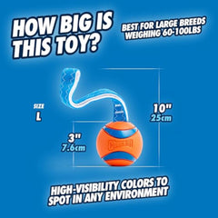 Chuckit Ultra Tug para juego de tirones entre perros.