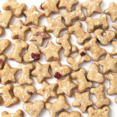 CocoTherapy: ingredientes orgánicos y libres de organismos modificados para perros sensibles