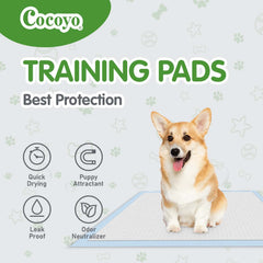 Pañales Cocoyo aptos para todas las etapas de perros, desde cachorros hasta adultos mayores.