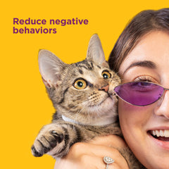 Collar calmante Comfort Zone en casa y exterior, ayuda a armonizar el entorno.