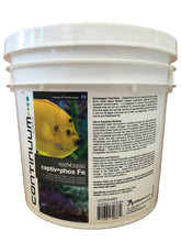 Continuum Aquatics Reef-Basis Captiv Phos Fe: media de filtración que reduce fosfatos en acuarios