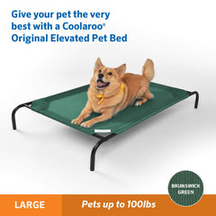 Coolaroo Cama Elevada para Perro, vista lateral, uso interior/exterior.