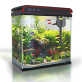 COOSPIDER acuario 20 galones, vista frontal clara para observar bettas.