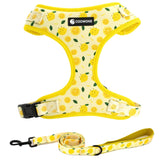 COOWONE harnais chien citron imprimé pour balades sécurisées et stylées.