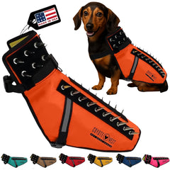 Chaleco CoyoteVest para perro con protección y visibilidad nocturna