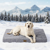 COZY KISS cama-perro-nylon-refrescante, mantiene al perro fresco en días cálidos.