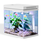Craftsboys nano-tanque 2.5 galones, vista clara para observar peces y plantas.