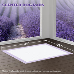 Croci almohadillas con núcleo superabsorbente que atrae líquidos rápidamente.