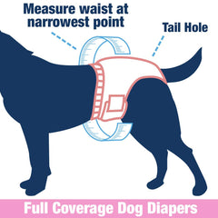 Four Paws Wee-Wee ajuste flexible que se adapta al torso del perro.