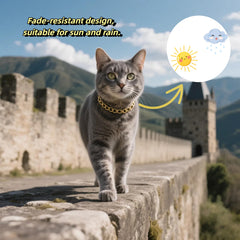 CWYZA collar gato brillo resistente que conserva el aspecto dorado