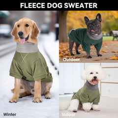 Suéter Cyeollo verde para perro, versátil para uso exterior e interior.