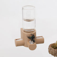 Daerky dispensador de agua-gravedad para saltarinas: riego suave y constante.