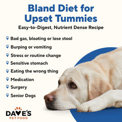 Dave's Pet Food – estuche de 12 latas de pollo y arroz, opción económica para digestión suave.