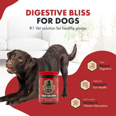 Daybreak Nutrition Fibra para Perros, envase dosis, uso diario fácil