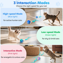 ddxcoo modo alta velocidad con luz azul para gatos activos
