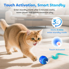 ddxcoo modo baja velocidad con luz verde para gatos tímidos