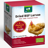 DE AVILA larvas mosca negra secas, snack proteico para aves.