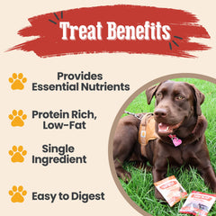Farm To Pet entrenamiento-perro-pescado: snack sin granos para estómagos sensibles.