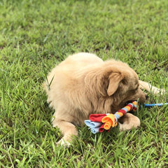 Dewonch Teaser de cuerda de fleece, ligero para paseos y entretenimiento diario.