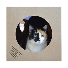 Dezi Roo diseño-por-veterinario-felino pensado para el bienestar.