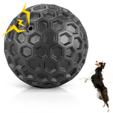DISSKNIC bola-indestructible con zumbido para perros activos y masticadores