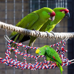 Dnoifne accesorio jaula aves, decoración colorida que también sirve de plataforma.