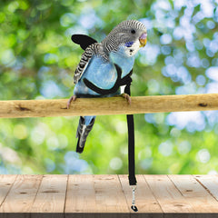 Correa para pajaro de Dnoifne ligera para paseos seguros.